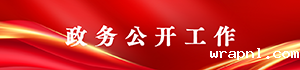 政务公开工作