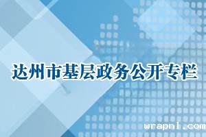 基层政务公开标准目录